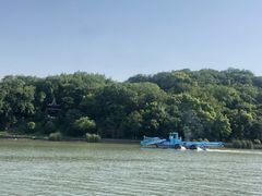-鹅湖玫瑰文化园