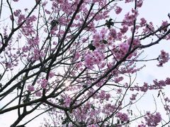 -福建鲤鱼洲酒店