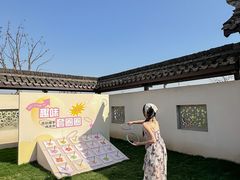 -杭州湾海上花田景区