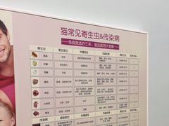 -瑞派康怡24h宠物医院·犬猫医疗中心·微创绝育(瑞景分院)