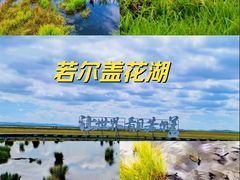 -花湖生态旅游区