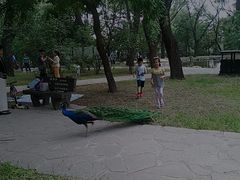 -北京麋鹿生态实验中心