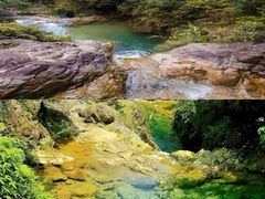 -南海湾森林生态园