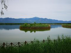 -野鸭湖国家湿地公园
