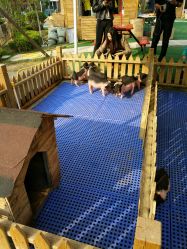 -萌宠亲子动物乐园(槐房万达店)