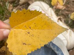 -回龙观体育文化公园