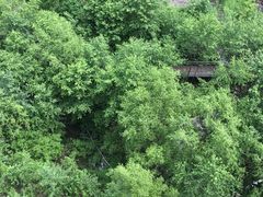 -峡谷浮石林景区