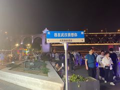 -武汉两江游览·夜游长江(汉口粤汉码头)