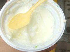 -德禄酸奶(莫家街店)