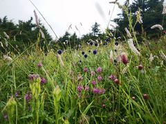 -白草畔自然风景区