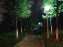 -尚贤河湿地