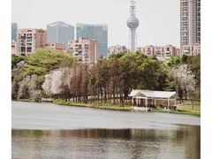 -文华公园(禅城区)