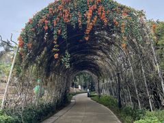 -天河儿童公园