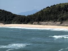 -广东惠东海龟国家级自然保护区