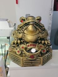 点击看大图 -美悦妈妈产后修复中心