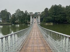 -东湖落雁景区