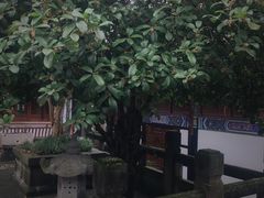 -关岳庙