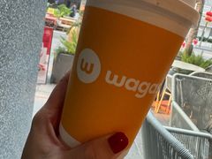 -Wagas沃歌斯(大学路店)