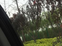 -唐山抗震纪念碑广场