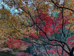 -西湖风景区十里琅珰-五云山