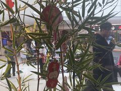 -绿茶餐厅(淮安吾悦广场店)