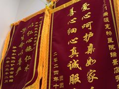 -瑞派康怡24h宠物医院·犬猫医疗中心·微创绝育(瑞景分院)