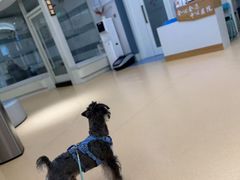 -全心全意动物诊疗中心医院(北苑店)