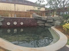 -大连金石滩绿发温泉假日酒店