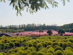 -嘉北郊野公园