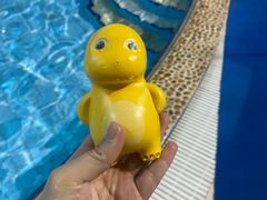 -广西体育中心-游泳馆