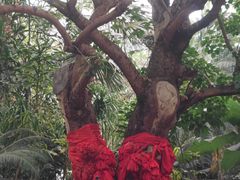 -寿山福海养老服务中心(石景山院)