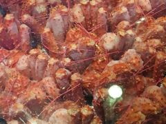 android_upload_pic-盆满钵满·国家非遗传承(云台店)