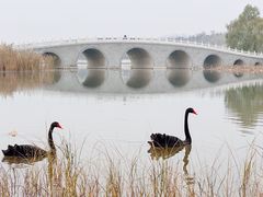 -南海子公园