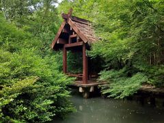 -杭州半山国家森林公园