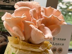 -烹然四季椰子鸡火锅(团结湖总店)