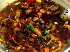 -黔江鸡杂火锅(红星路一段)