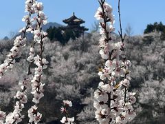 -白水寺森林公园