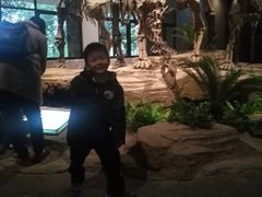 -自贡恐龙博物馆