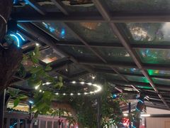 -海岛八号龙虾烧烤田鸡(蓝天路总店)