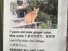 -南丫岛