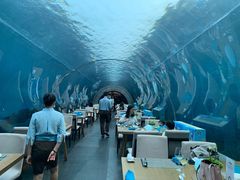 -海棠湾洲际-涛·海底餐厅·美人鱼·自助餐·海底隧道
