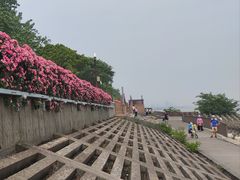 -高桥特色小吃