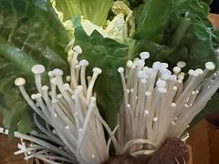 -同仁四季椰子鸡(宝安壹方城店)