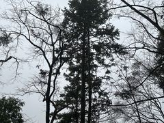 -南靖田螺坑土楼群景区