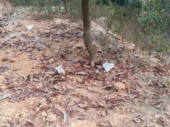 -彩虹桥宠物火化殡葬善终服务(金乐大厦店)