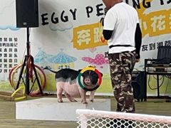 -湖南湘都生态农业园