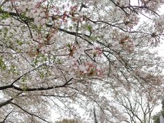 -杭州少年儿童公园