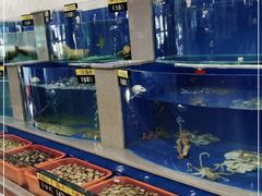 -六和聚传统烤鸭.天津菜(和平店)