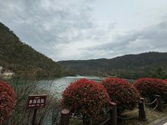 -桃花岭景区