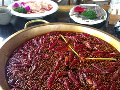 -秀丽东方